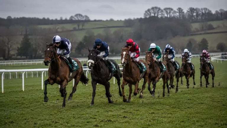 Young horses competing in a National Hunt Flat bumper race at a British jumps meeting
